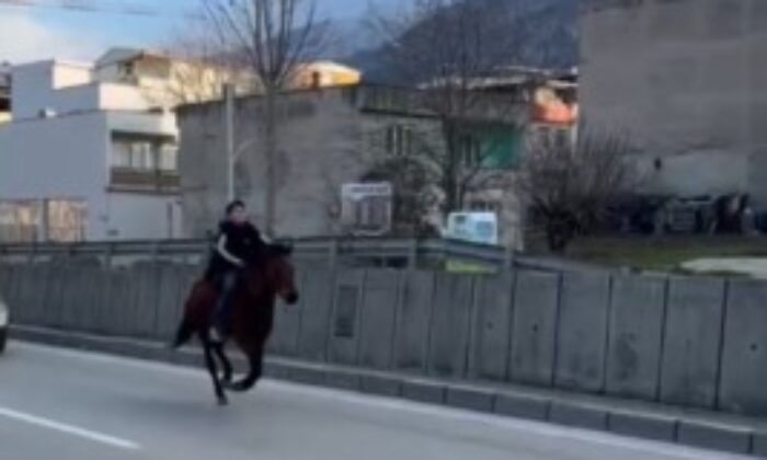 Bursa’da trafiğe atla çıktı!