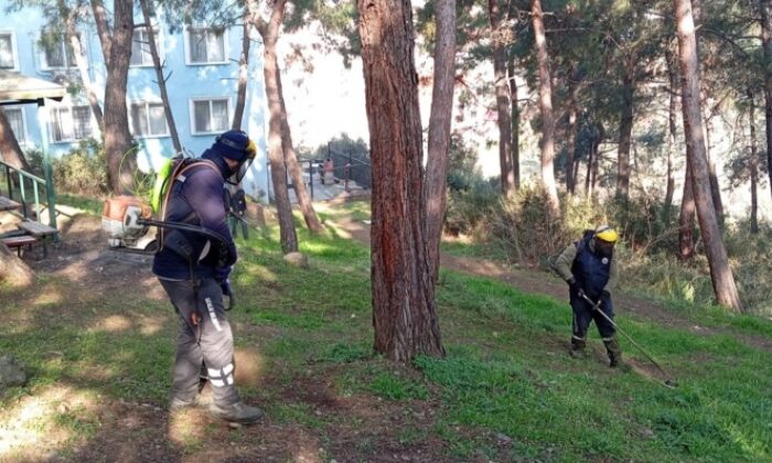 Gemlik’te ‘Yeşil Seferberlik’ çalışmaları